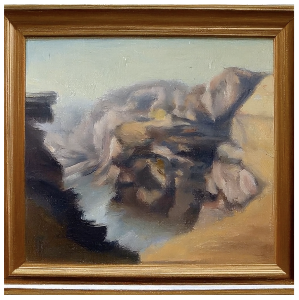 A framed image, in oil painting style, depicts a canyon when viewed right-side-up; when turned 90° counterclockwise, it reveals a cat.